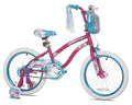 Pink and Blue Child Bike W885