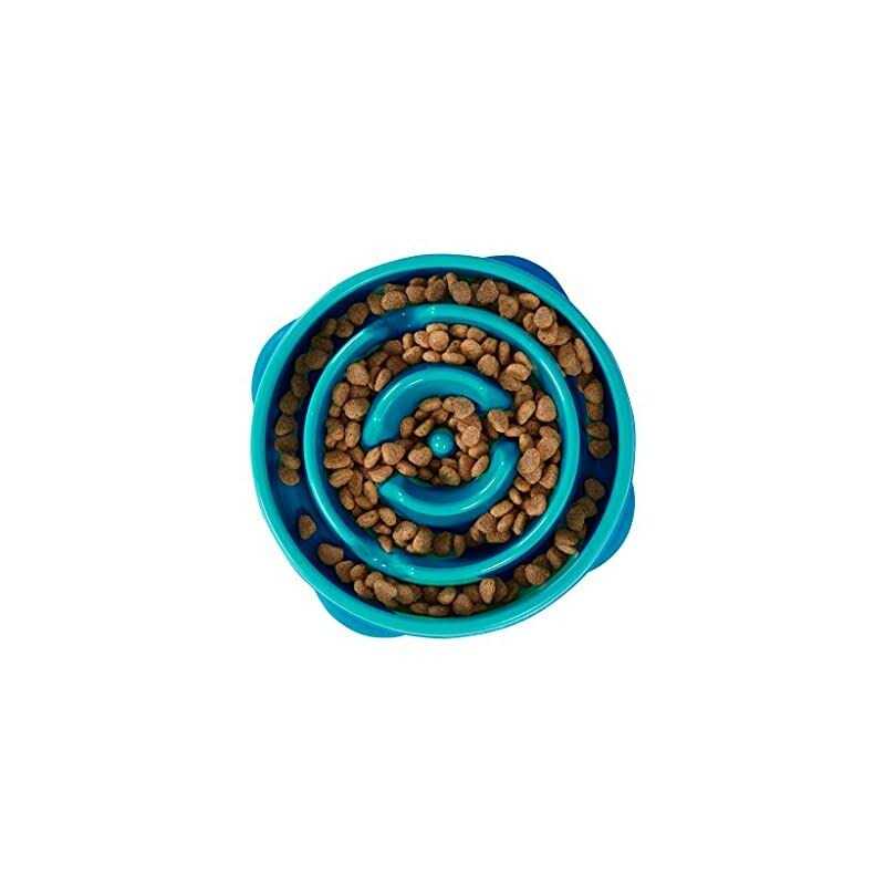 Slow Dog Bowl H858168