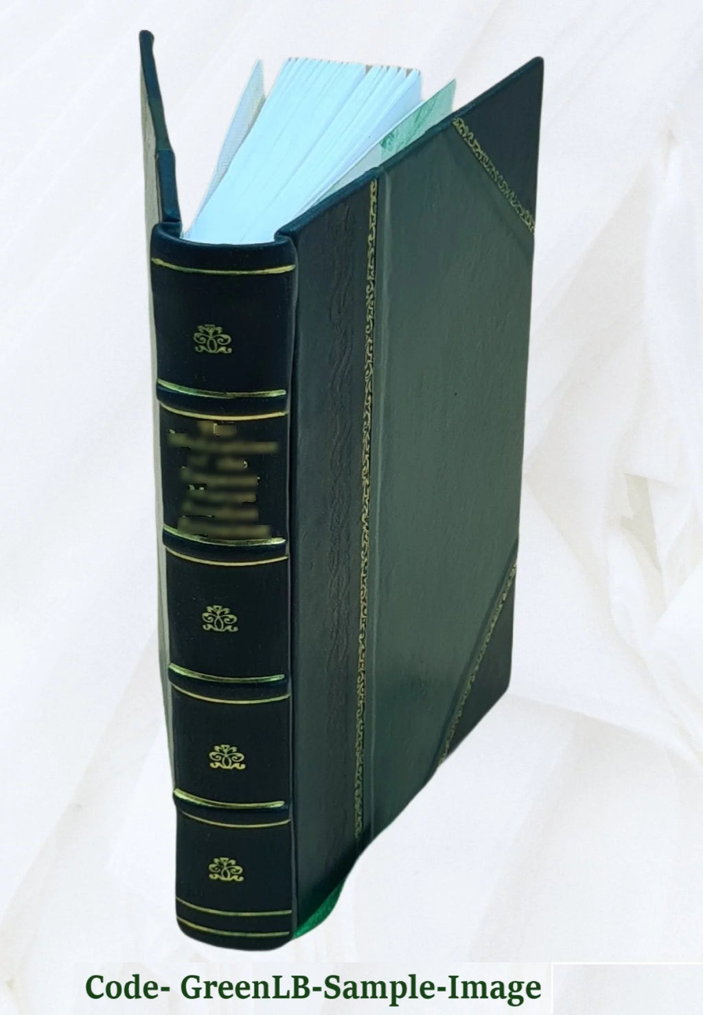 Leather Bound D81844