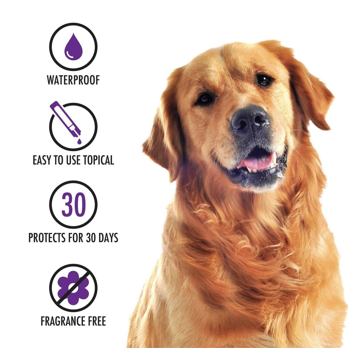 Topical Treatment for Dogs X841