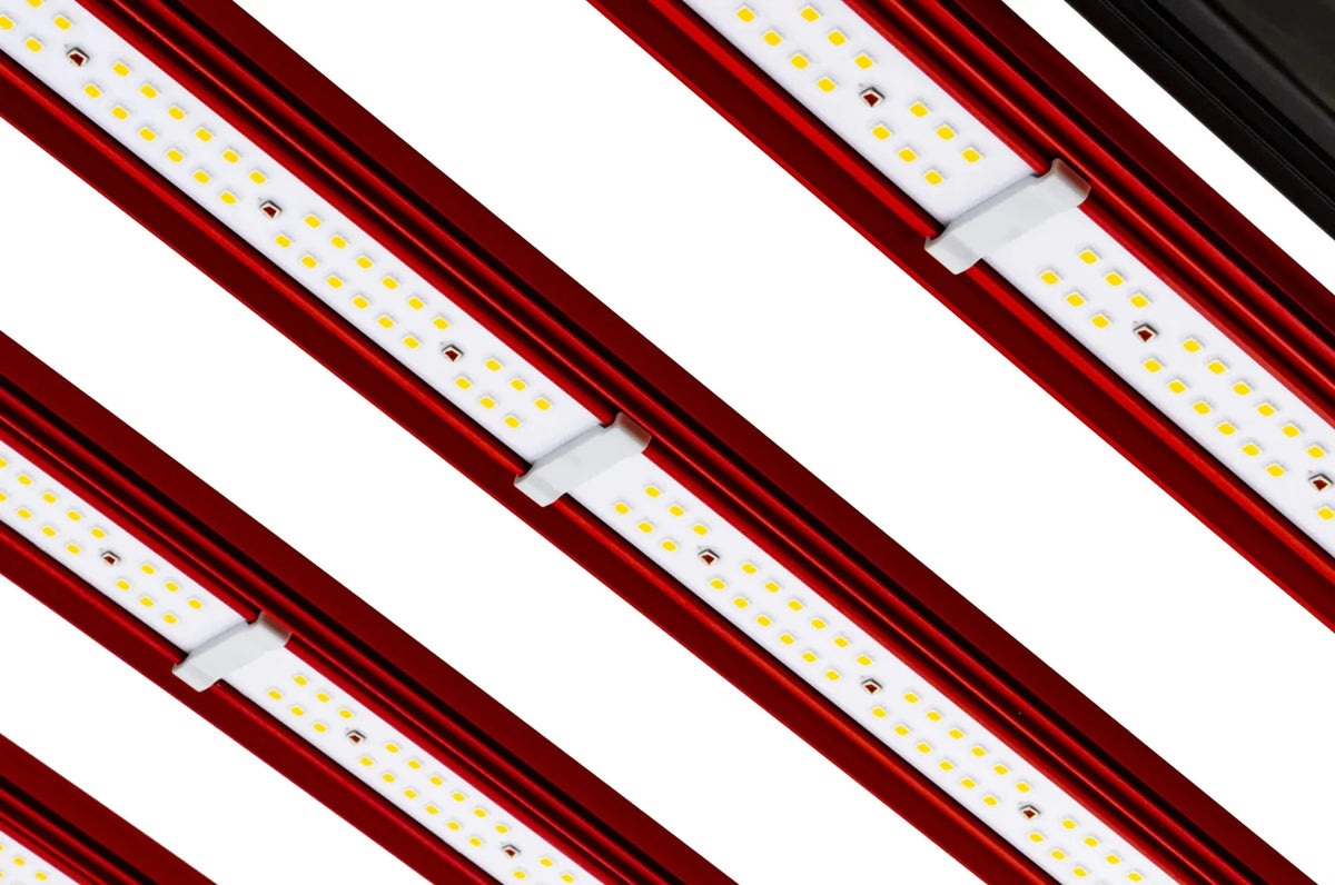 CO2 Pro LED 1000W P12912